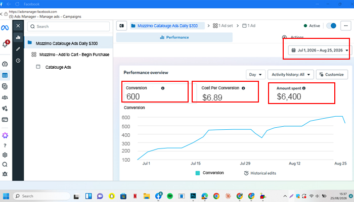 Meta Ads campaign results