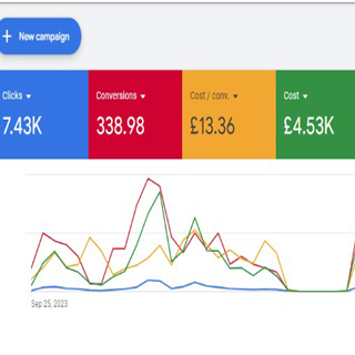 ED AutoCare Google Ads dashboard showing conversions