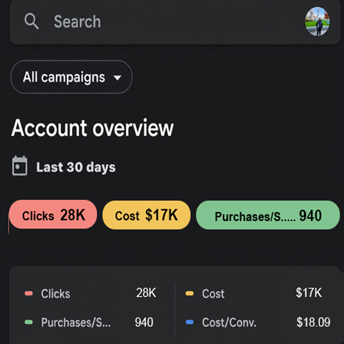 Protein Works Google Ads dashboard showing conversions